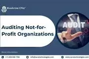 Auditing not for profit org.