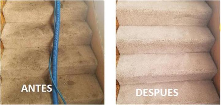 Lucas Carpet Cleaning image 3