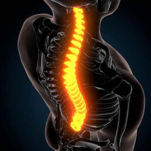 COLUMNA VERTEBRAL SOLUCIONES image 3