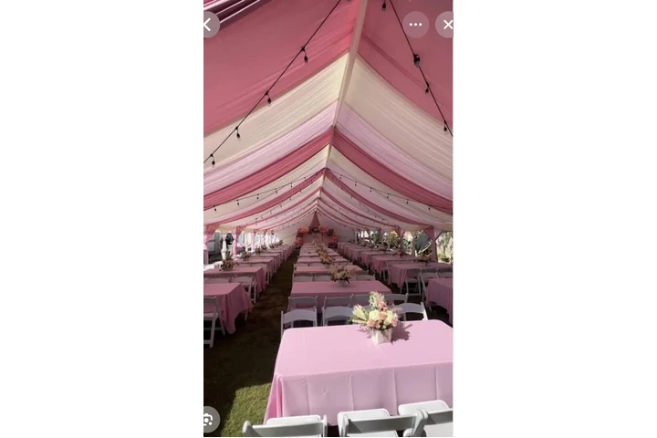 Jasmine's Party Decorations image 2