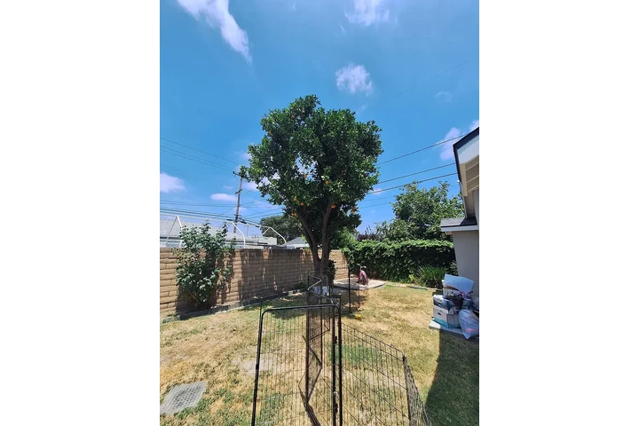 $900 : Beautiful Home...LAKEWOOD,CA image 8
