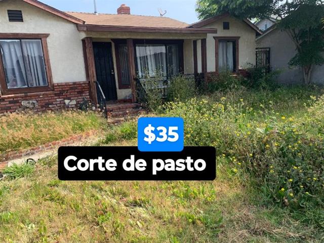 Corte de pasto $35 🏡 image 2