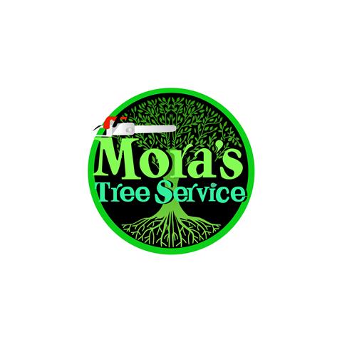 Mora's Tree Service LLC image 1