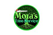 Mora's Tree Service LLC en Atlanta