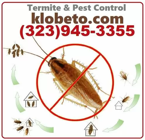 *TERMITE-PEST CONTROL SERVICE* image 4