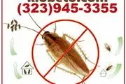 *TERMITE-PEST CONTROL SERVICE* thumbnail