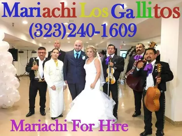 Mariachi Los Gallitos image 1