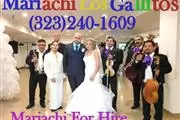 Mariachi Los Gallitos en Los Angeles