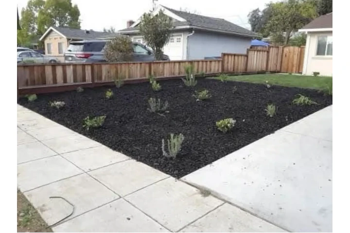 Sandoval garden service image 2