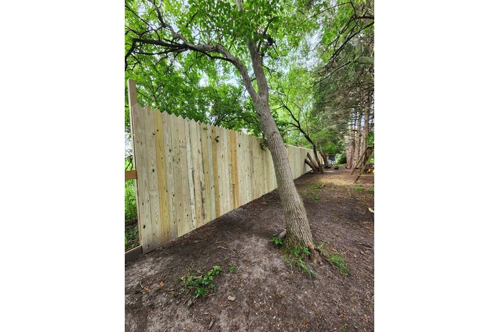 Jorge's Lawn and Landscaping image 2