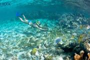 Belize Snorkeling Tours en Corpus Christi