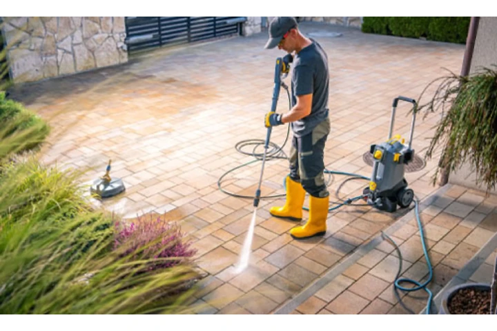 Garden & Landscape Maintenance image 3