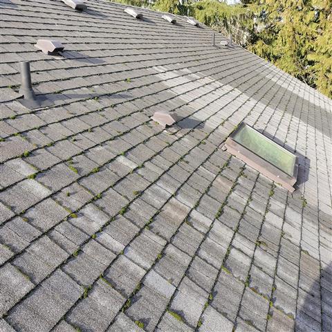 New Life Roof Cleaning image 4