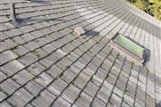New Life Roof Cleaning thumbnail 4
