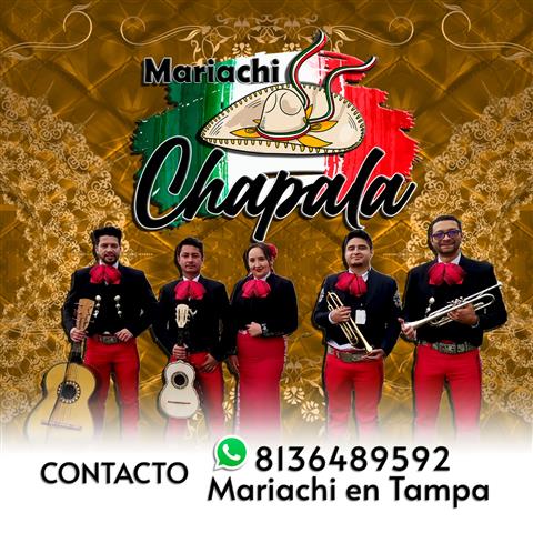 Mariachis en Tampa image 6