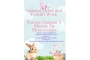 TRABAJO GENERAL Y MONTACARGAS en San Bernardino