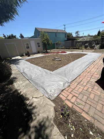 Weeds whacked. Clean up yard image 9