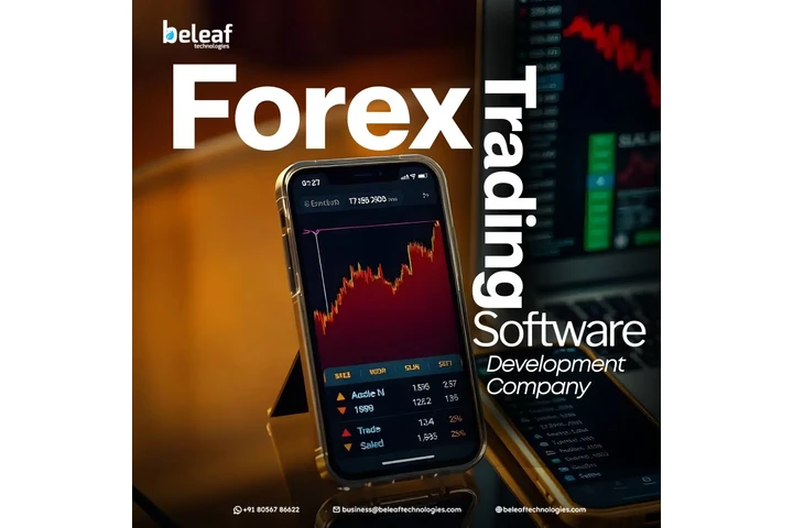 Built for Real Forex Condition image 1