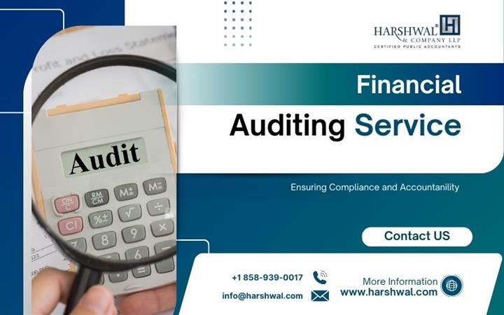 Accurate financial audits image 1