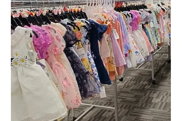 "Organizadora de Armarios" image 3