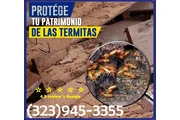 FUMIGACIONES TERMITAS 24/7.- thumbnail