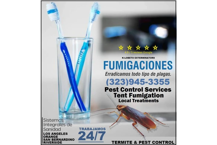 Fumigacion Los Angeles-Orange. image 6