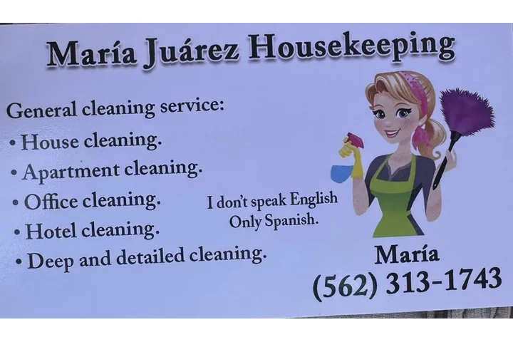 Limpieza en General image 1