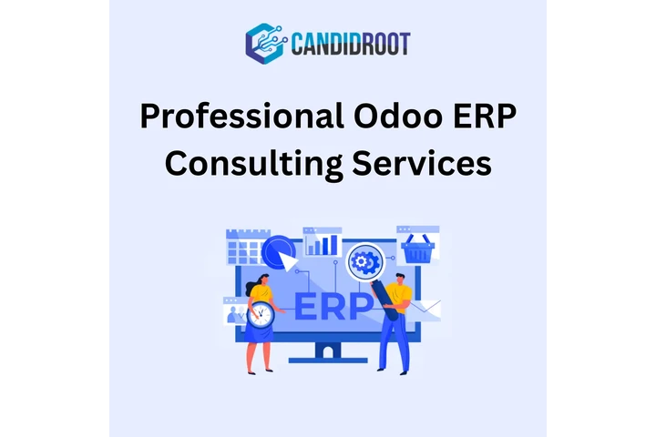 Professional Odoo Consulting image 1