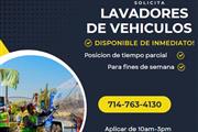 LAVADORES DE VEHICULOS.