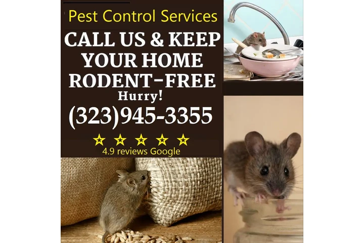 PEST CONTROL NEAR ME 24/7.- image 3