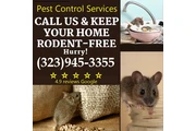 PEST CONTROL NEAR ME 24/7.- thumbnail