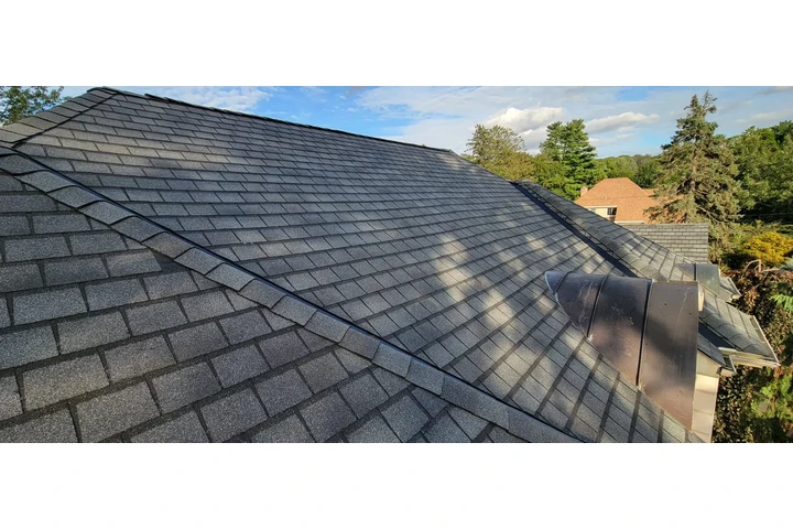 LUISGUAMANHOMEIMPROVEMENTCORP image 9