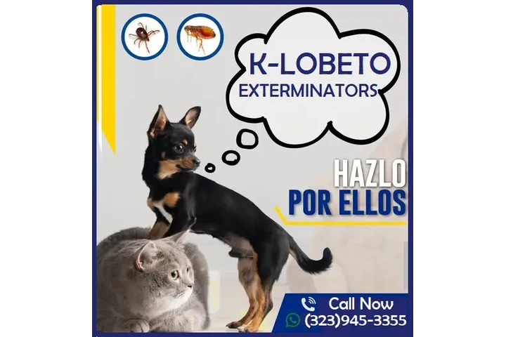 PEST CONTROL SERVICES image 2