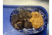 BIRRIERIA AMADOR CATERING thumbnail