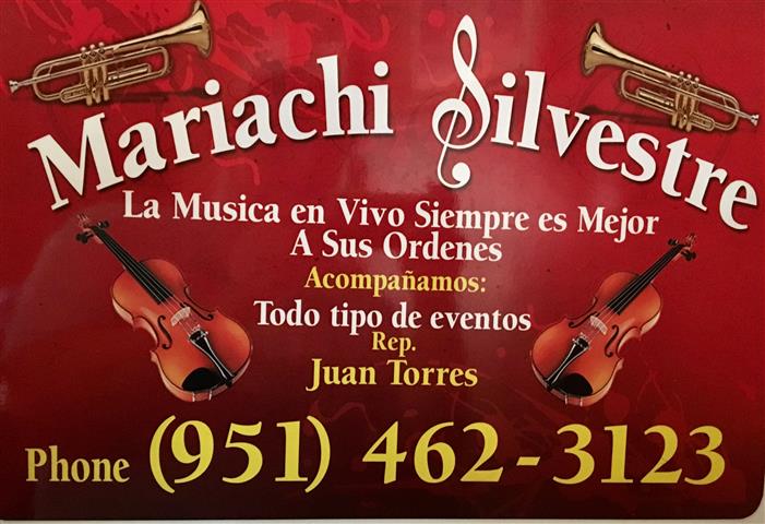 🎺🎻MARIACHI SILVESTRE🎻🎺 image 4