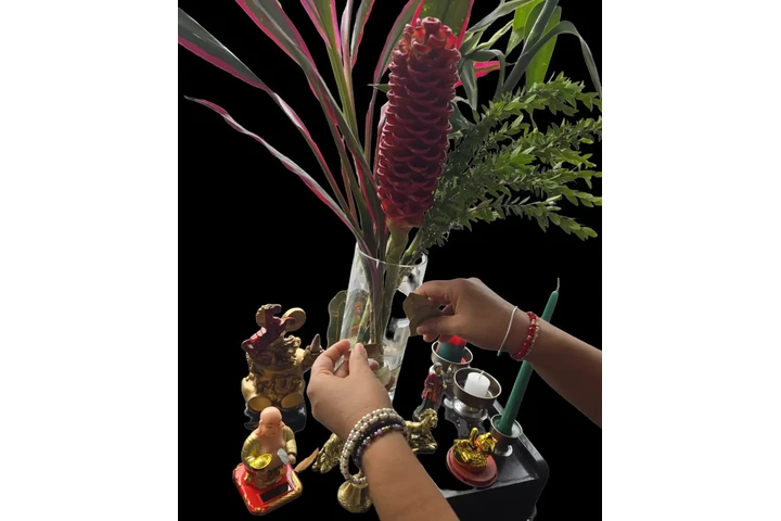 VIDENTE EMILIA image 4