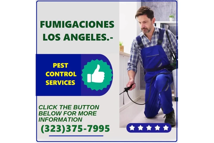FUMIGACIONES RÁPIDAS EFECTIVAS image 1