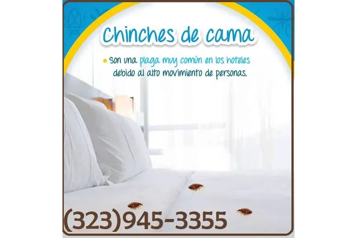 PEST CONTROL SERVICES image 8