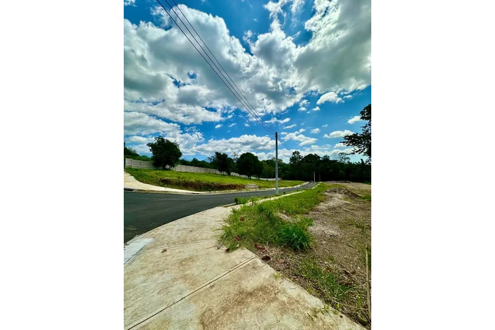 $81560 : Venta de terrenos en Santa Ana image 2