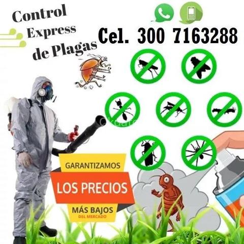 Fumigaciones Bogota 3007163288 image 5