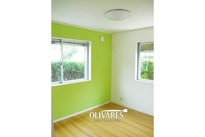 PINTOR PROFESIONAL A DOMICILIO image 2