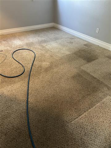 Carpet cleaning (562)234-7294 image 2