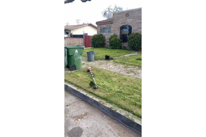 Grasscut weeds shrubs 🏡📲🌴 image 8