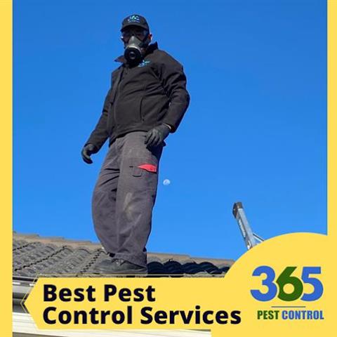 365 Pest Control Melbourne image 4