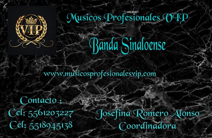 Músicos Profesionales VIP image 3