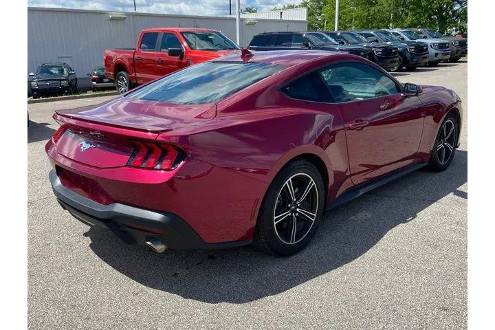 $37790 : Ford Mustang 2025 EcoBoost P image 3