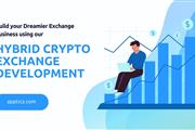 Hybrid exchange development