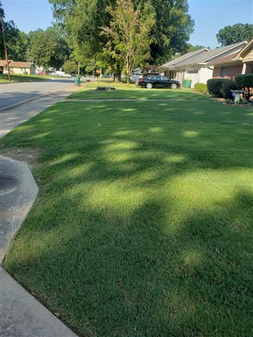 Victors Lawn and landscaping image 2