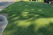 Victors Lawn and landscaping thumbnail 2