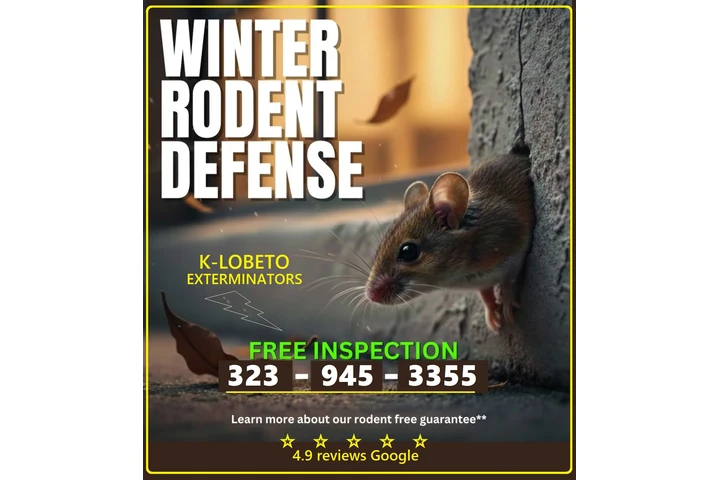 PEST CONTROL SERVICES 24/7.- image 10
